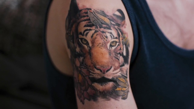 Video Reference N10: Bengal tiger, Tiger, Tattoo, Shoulder, Felidae, Arm, Wildlife, Joint, Big cats, Carnivore