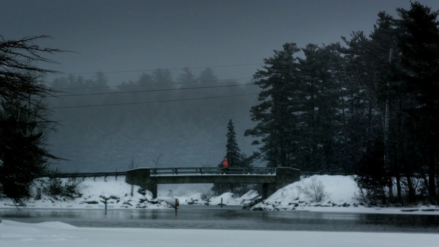 Video Reference N3: snow, water, winter, nature, freezing, tree, sky, river, geological phenomenon, frost