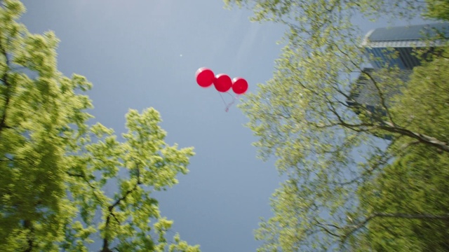 Video Reference N0: Green, Balloon, Sky, Tree, Red, Daytime, Leaf, Yellow, Branch, Spring, Outdoor, Small, Plane, Flying, Forest, Air, Street, Traffic, Man, Riding, Traveling, Airplane, Large, Landing, White, Game, Field, Driving, Train, Sign, People, Frisbee, Woman, Playing, Standing, Tall, Clock, Aircraft, Traffic light, Wooded