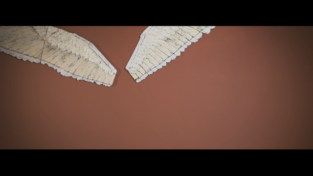 Video Reference N1: close up, macro photography, wood, angle, computer wallpaper, darkness, wing