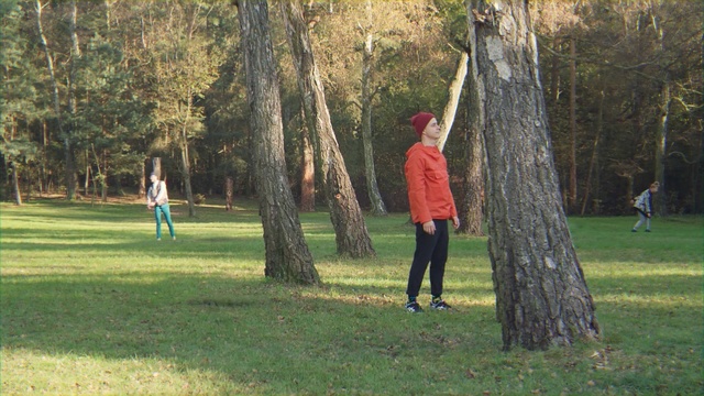 Video Reference N1: Tree, Woody plant, Trunk, Recreation, Plant, Park, Grove, Woodland, Person, Grass, Outdoor, Field, Playing, Frisbee, Throwing, Man, Young, Grassy, Green, Game, Flying, People, Area, Boy, Group, Large, Woman, Catch, Standing, Red, Air, White, Clothing, Lush