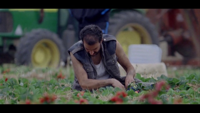 Video Reference N4: Human, Grass, Plant, Organism, Photography, Fun, Lawn, Soil, Adaptation, Flower