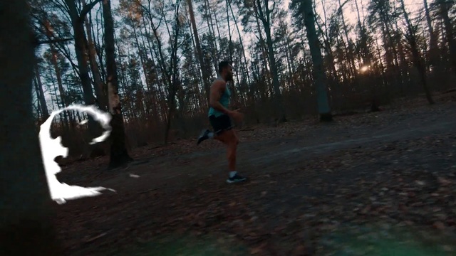 Video Reference N4: Woodland, Photograph, Nature, Running, Tree, Natural environment, Forest, Light, Long-distance running, Recreation