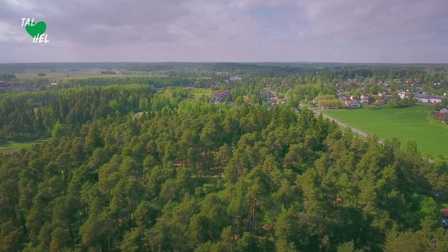 Video Reference N4: Aerial photography, Nature, Natural landscape, Vegetation, Biome, Birds-eye view, Land lot, Tree, Tropical and subtropical coniferous forests, Hill station