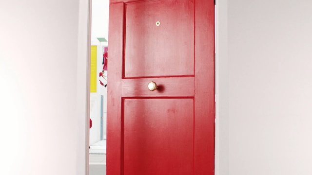 Video Reference N1: door, product