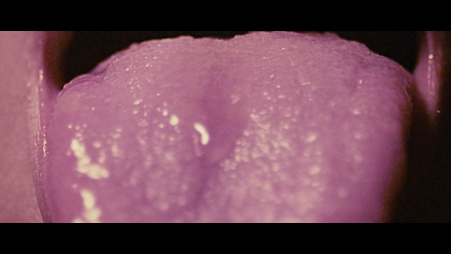 Video Reference N1: purple, violet, close up, mouth, lip, petal, macro photography, jaw, tongue, magenta