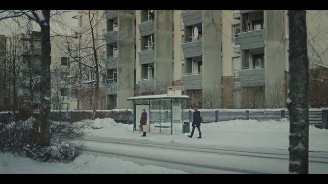 Video Reference N0: Snow, Winter, Urban area, Snapshot, Town, Neighbourhood, Tree, Street, Architecture, House