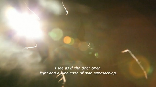 Video Reference N1: Light, Green, Sky, Text, Font, Sunlight, Lens flare, Photography, Night, Macro photography