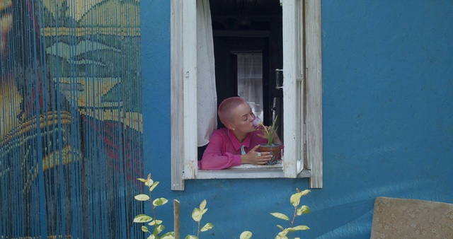 Video Reference N3: Child, Pink, Window, Vacation, Toddler, Wood, Smile