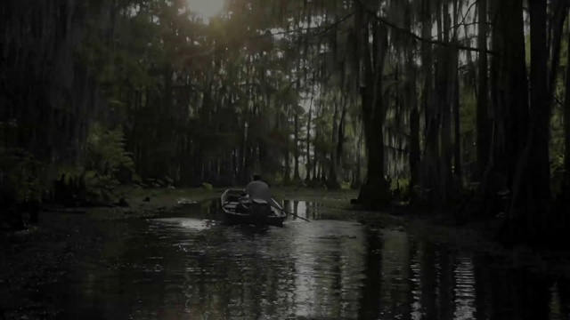 Video Reference N2: Nature, Natural environment, Bayou, Swamp, Natural landscape, Forest, Woodland, Bank, Waterway, Watercourse