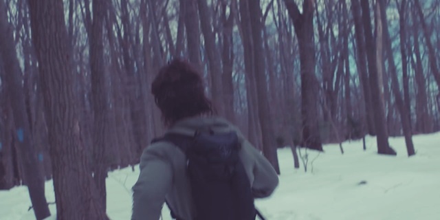 Video Reference N1: winter, tree, snow, freezing, woody plant, fun, ice, sky, girl, plant, Person