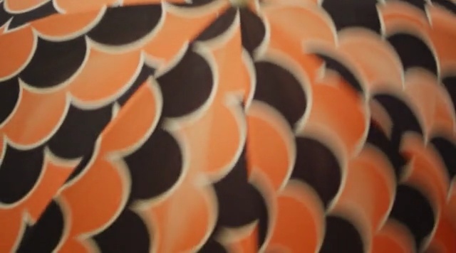 Video Reference N0: Orange, Pattern, Peach, Organism, Design, Close-up, Symmetry, Textile, Circle, Art, Person