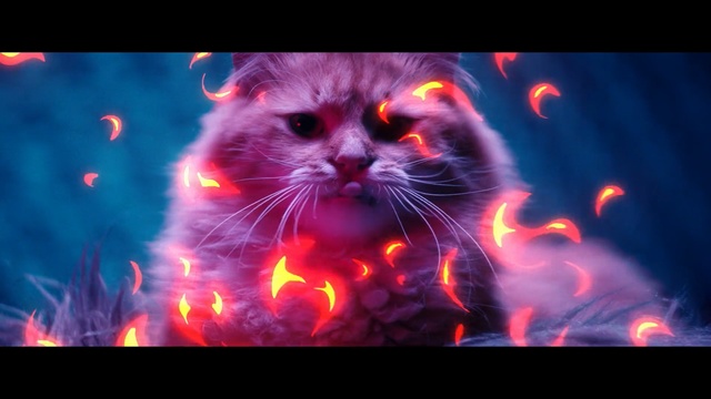 Video Reference N3: Felidae, Neon, Organism, Whiskers, Graphics, Geological phenomenon, Cat, Person