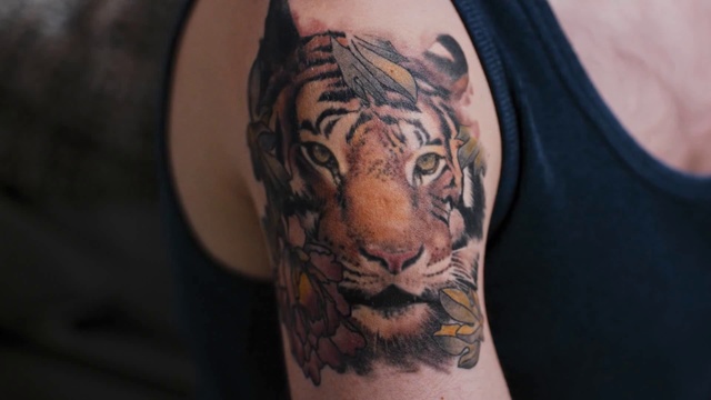 Video Reference N4: Tiger, Bengal tiger, Tattoo, Shoulder, Felidae, Arm, Joint, Wildlife, Big cats, Skin