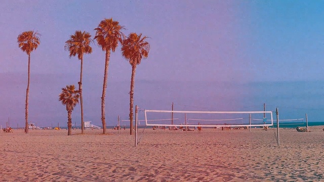 Video Reference N5: sky, sea, horizon, beach, shore, tree, sand, morning, calm, ocean, Person