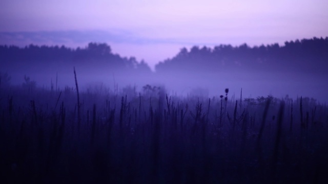 Video Reference N0: atmosphere, sky, mist, dawn, fog, morning, purple, horizon, evening, dusk