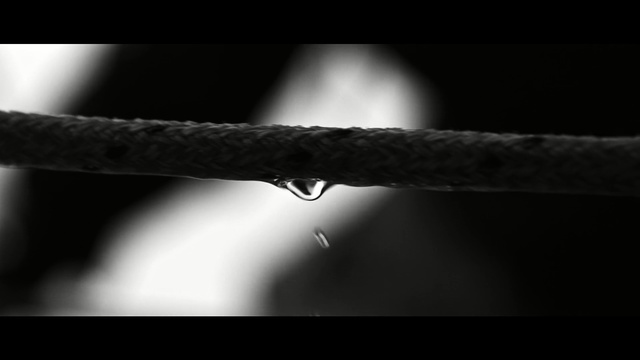 Video Reference N0: Black, White, Black-and-white, Water, Monochrome, Monochrome photography, Rope, Sky, Line, Photography