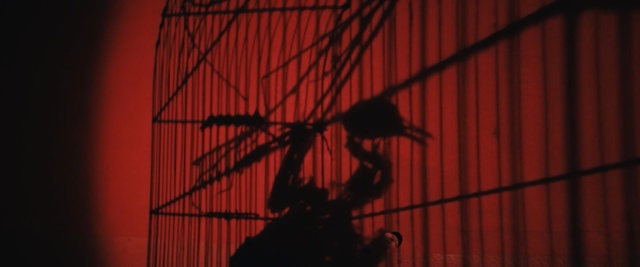 Video Reference N1: Red, Silhouette, Line, Sky, Photography, Shadow, Tints and shades, Art