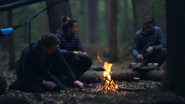 Video Reference N3: campfire, fire, bonfire, darkness, screenshot, night, tree, recreation, Person