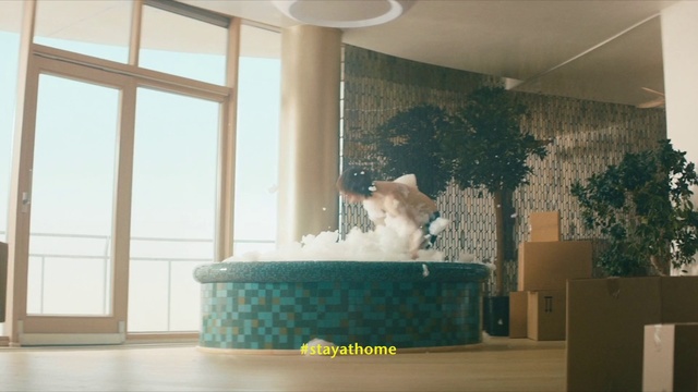 Video Reference N14: Room, Interior design, Cat, Companion dog, Ceiling, House, Building