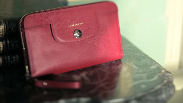 Video Reference N2: Red, Pink, Wallet, Magenta, Leather, Fashion accessory, Coin purse, Bag, Material property, Handbag