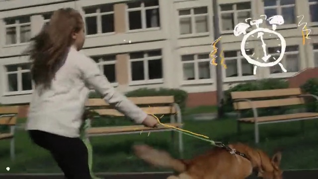 Video Reference N1: Canidae, Dog breed, Sporting Group, Fawn, Animal training