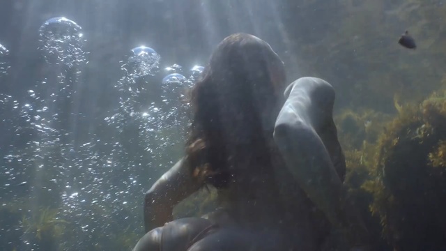 Video Reference N4: Water, Underwater, Organism, Sunlight, Hand, Marine biology, Marine mammal