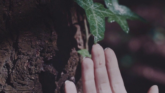 Video Reference N0: Finger, Leaf, Hand, Green, Soil, Nail, Adaptation, Plant, Thumb