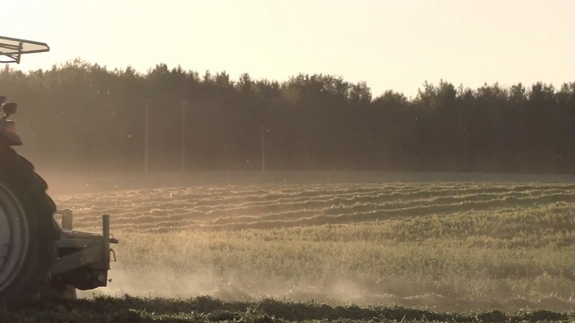 Video Reference N4: grass, field, morning, grass family, tree, landscape, vehicle, mist, plant