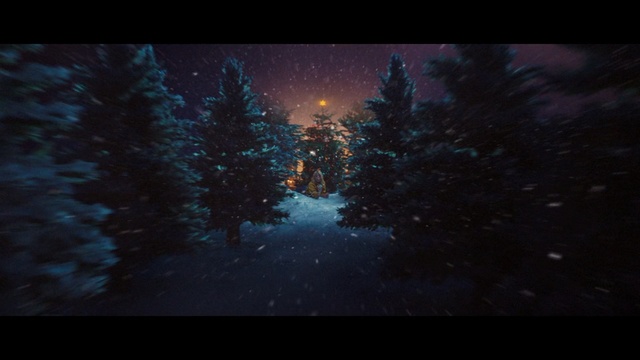 Video Reference N1: nature, atmosphere, ecosystem, darkness, night, sky, screenshot, light, geological phenomenon, forest