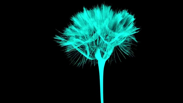 Video Reference N2: Green, Tree, Electric blue, Plant, Graphics, Neon, Plant stem