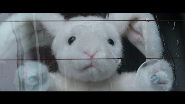 Video Reference N2: fauna, nose, whiskers, rat, rabbit, snout, rabits and hares, domestic rabbit, hamster, Person