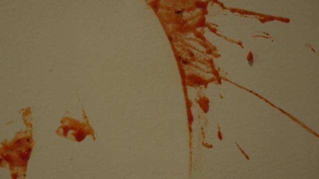 Video Reference N0: Orange, Stain, Organism, Copepod, Drawing, Art, Person