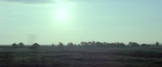 Video Reference N1: sky, atmosphere, field, morning, mist, horizon, plain, grassland, tree, rural area