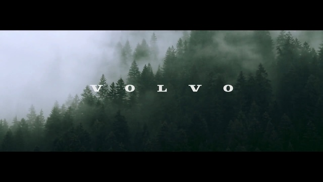 Video Reference N0: green, nature, atmosphere, sky, tree, mist, ecosystem, fog, forest, darkness