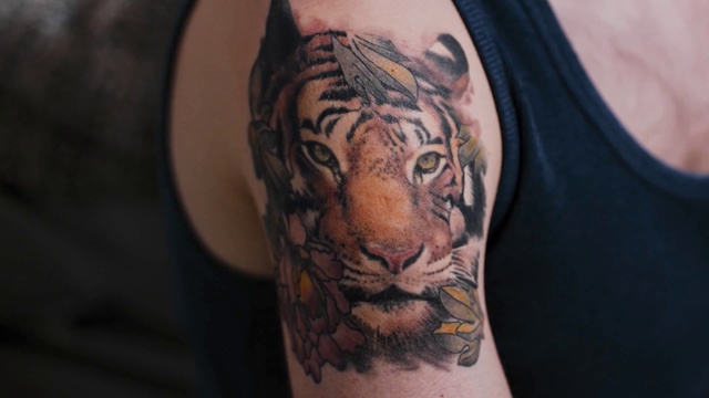 Video Reference N7: Tiger, Bengal tiger, Tattoo, Shoulder, Felidae, Arm, Joint, Big cats, Wildlife, Skin