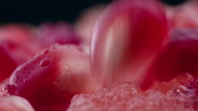 Video Reference N2: Petal, Pink, Water, Close-up, Macro photography, Plant, Flower, Photography, Sweetness, Dew, Food, Indoor, Fruit, Red, Cake, Piece, Plate, Cream, Dessert, Small, Table, Bowl, Covered, Close, Sitting, Banana, Filled, Sauce, Fork, White, Holding, Cheese, Smoothie, Closeup, Rose, Peach