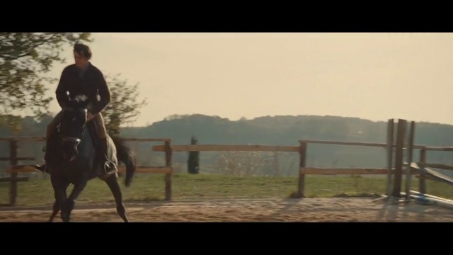 Video Reference N10: Horse, Halter, Bridle, Mammal, Vertebrate, Rein, Equestrianism, Horse tack, Animal sports, Eventing