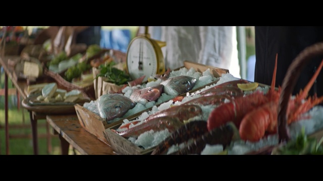 Video Reference N0: Food, Local food, Painting, Still life, Cuisine, Dish, Photography, Seafood, Still life photography, Art