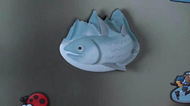 Video Reference N0: Fish, White, Blue, Turquoise, Fish