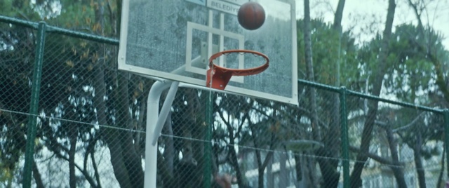 Video Reference N0: Basketball, Basketball court, Basketball hoop, Streetball, Basketball moves, Net, Team sport, Tree, Netball, Basketball