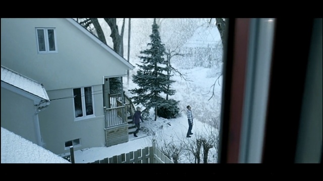 Video Reference N2: snow, home, winter, house, property, architecture, window, residential area, building, freezing