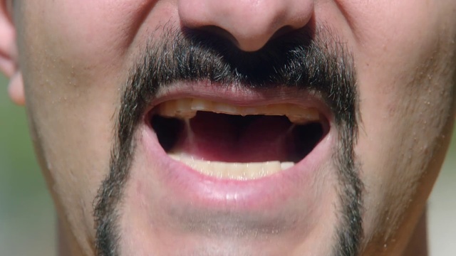 Video Reference N0: Facial hair, Hair, Face, Lip, Moustache, Nose, Beard, Tooth, Chin, Mouth