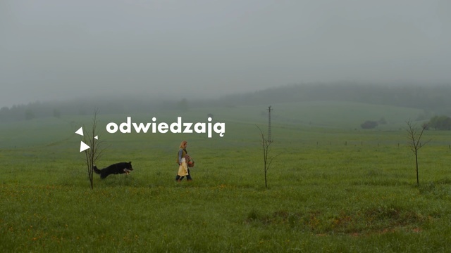 Video Reference N0: Grassland, Pasture, Atmospheric phenomenon, Mist, Rural area, Haze, Hill, Meadow, Plain, Sky, Grass, Outdoor, Field, Standing, Green, Grassy, Man, Plane, Large, Open, Front, Lush, Mountain, Airplane, Sign, Grazing, Water, White, Red, Flying, Air, Fog, Hiking, Glider, Aircraft, Outdoor object, Distance