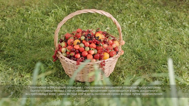Video Reference N1: fruit, produce, local food, grass, natural foods, basket, strawberries, berry, food
