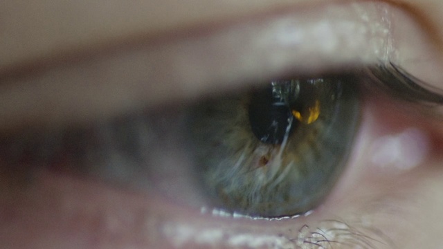 Video Reference N0: Iris, Eye, Close-up, Eyelash, Organ, Eyebrow, Macro photography, Photography