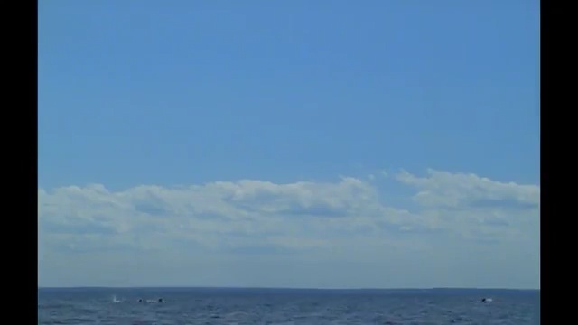 Video Reference N1: Horizon, Sky, Sea, Ocean, Daytime, Calm, Cloud, Sound, Wave, Wind wave