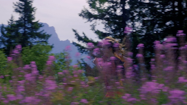 Video Reference N1: Tree, Lavender, Vegetation, Natural environment, Wilderness, Purple, Pink, Plant, Forest, Flower, Outdoor, Person, Man, Riding, People, Stop, Jumping, Skiing, Green, Wearing, Red, Woman, Field, Young, Air, Large, Flying, Blurry, Sign, Motorcycle, Group, White, Blue, Standing, Nature, Wooded