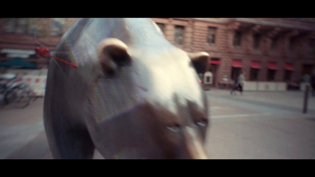 Video Reference N0: Nose, Snapshot, Snout, Photography, Horse