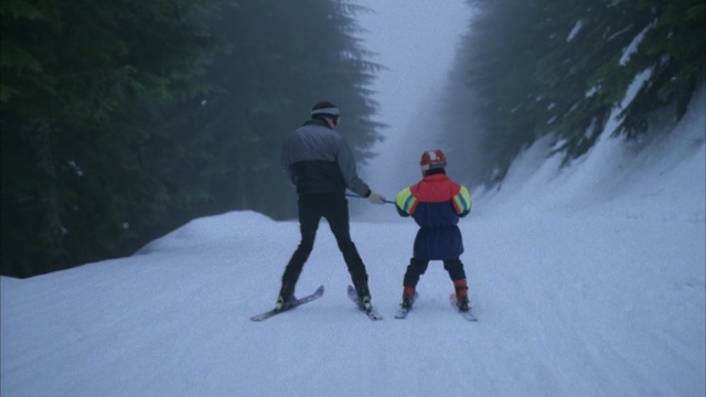 Video Reference N2: Snow, Winter, Outdoor recreation, Skiing, Recreation, Ski, Ski mountaineering, Winter sport, Sports, Adventure, Person